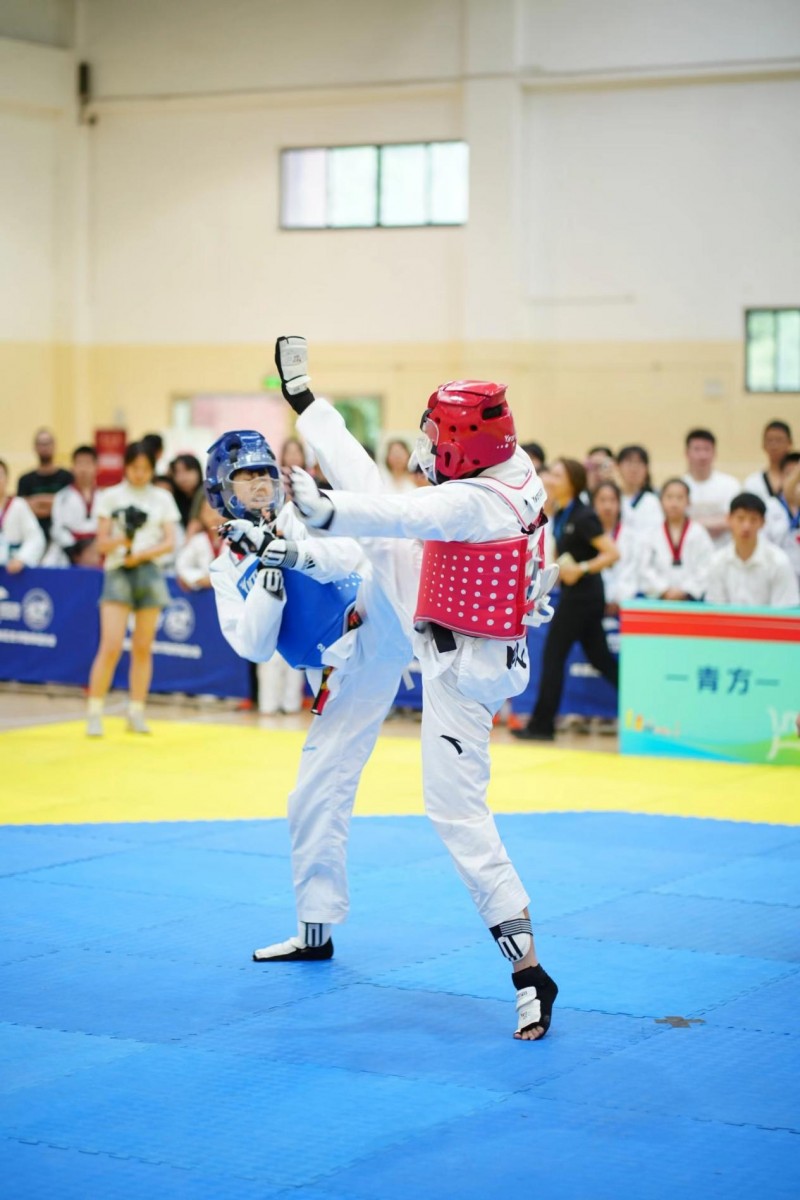 包含传统跆拳道锦标赛，技艺与胆识的较量的词条