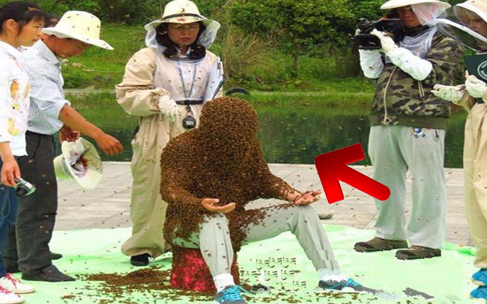 不可思议!新星打破世界纪录 不可思议!新星打破世界纪录