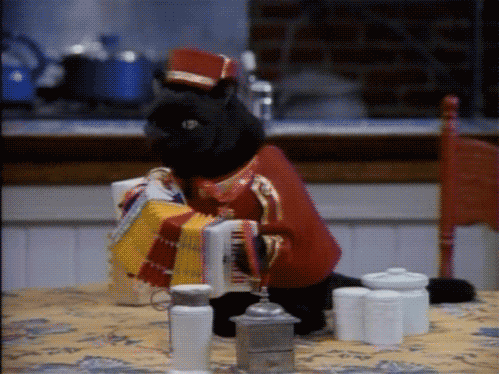 _场边观众：球迷盛会尽显激情_，球迷观赛时看到精彩瞬间,会激动得