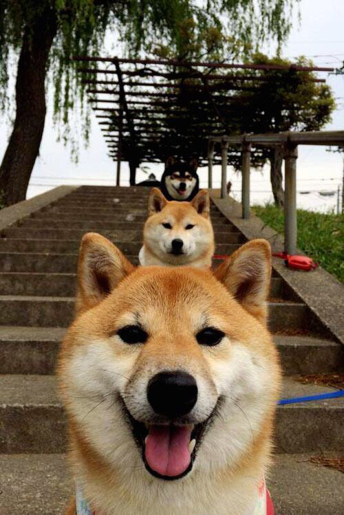 _青少年极限运动研讨会:开拓创新未来_,极限运动大赛