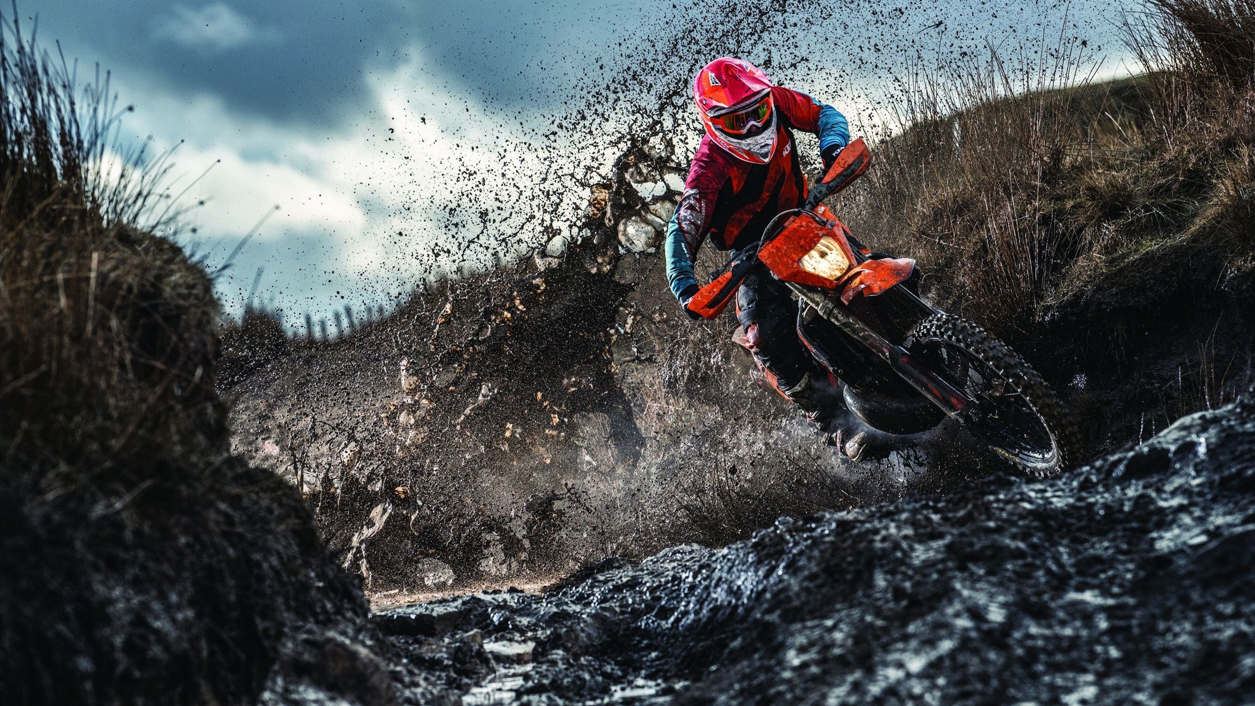 【世界冠军盘点】历届夺冠的经典瞬间回顾,4×100历届冠军