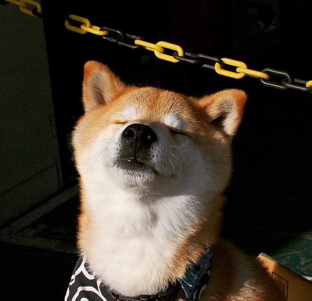 九游游戏中心官网-世界上最奇怪的足球比赛和规则揭秘，世界上最奇葩的足球进球