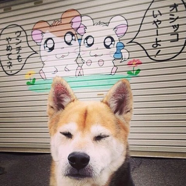 史上最大“黑马逆袭”:从无名小卒到世界冠军,最大的黑马