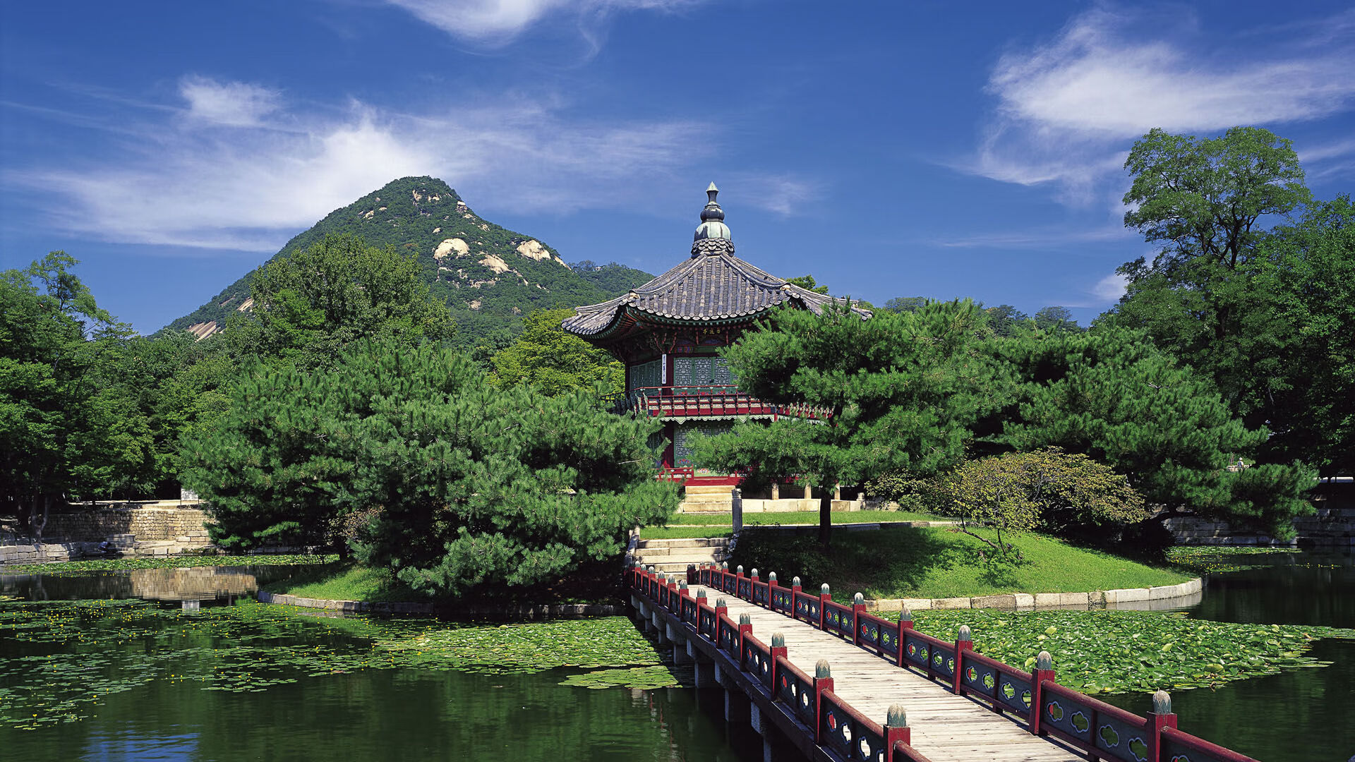 史上最大“黑马队”逆袭欧洲之巅,世界上最大的黑马王子