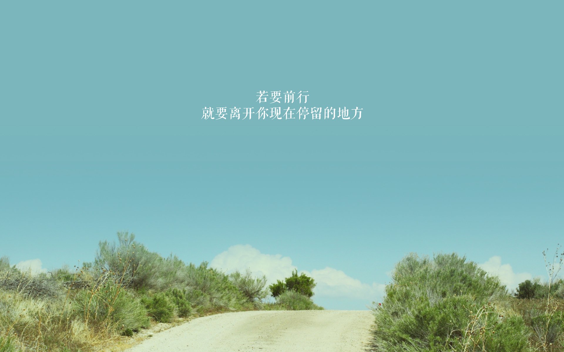 -天才少年台球赛场初露锋芒，天才少女台球电影名