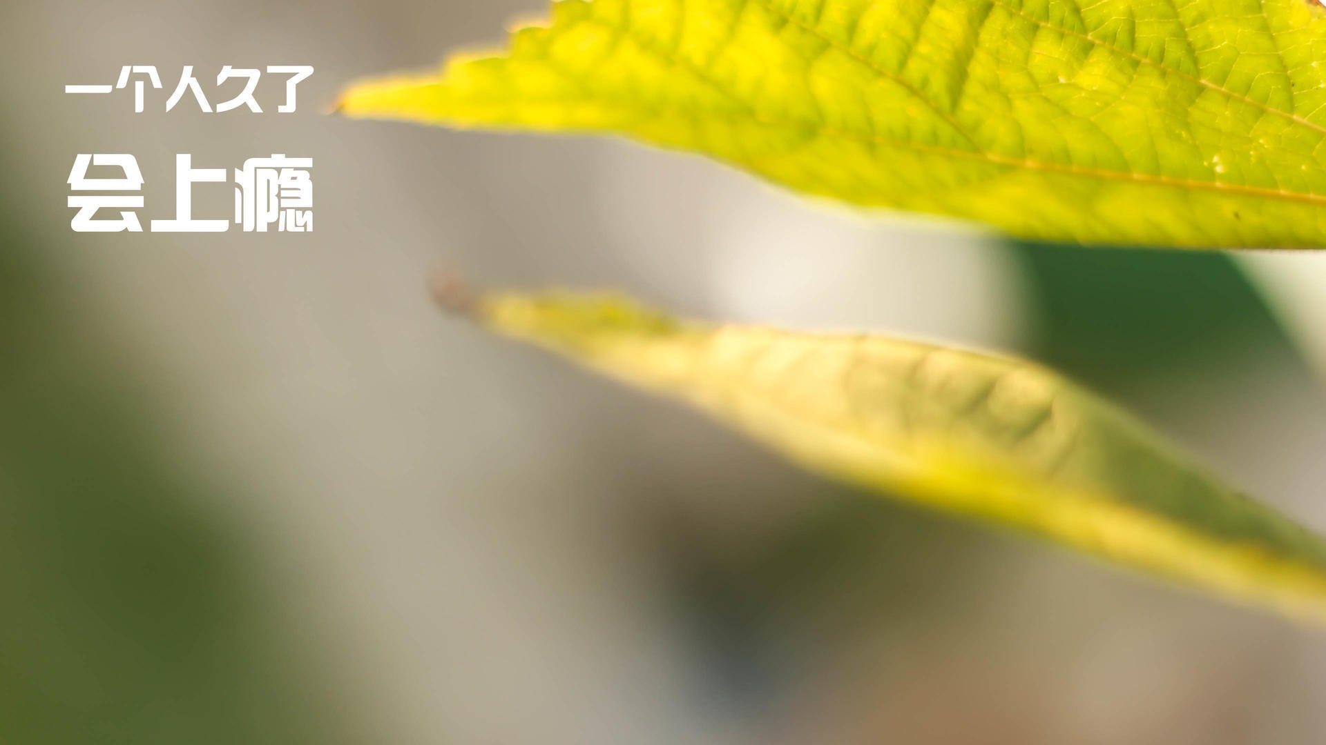 九游APP官网-球队重建：绩差球队的崛起之路，球队实力差如何计算