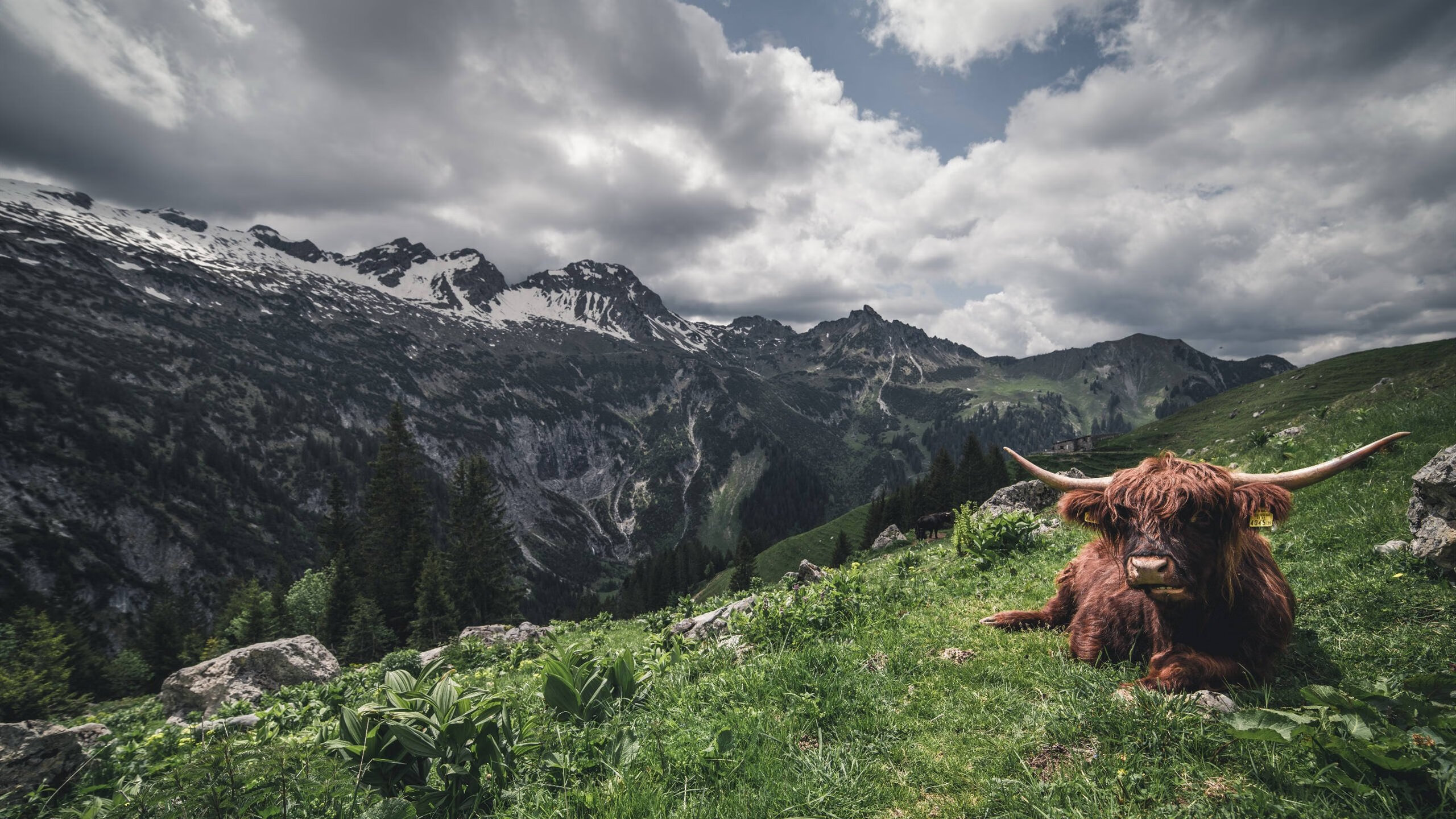 足球发展年度白皮书汇总行业趋势与建议,足球行业分析报告