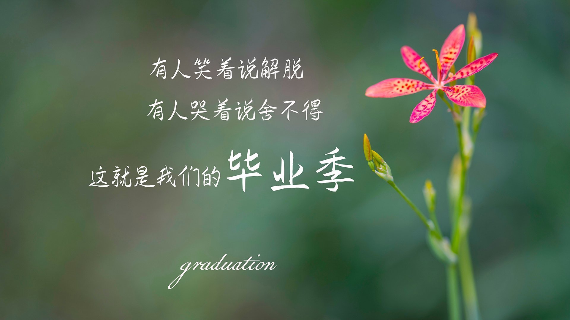 上海上港坐镇主场迎战廊坊泰山,谁将成为比赛的胜利者?,上海上港主场赛程