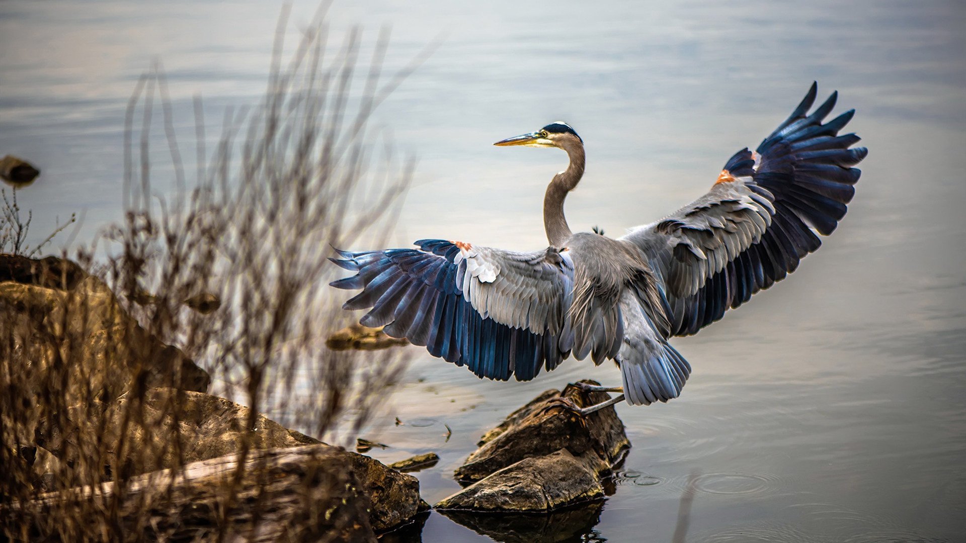 九游娱乐(jiuyou)官方网站-勒沃库森中场核心回归，勒沃库森队