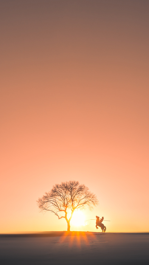 是否应设立统一球员教育内容体系