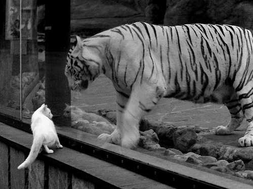 九游娱乐APP-欧洲足坛风云再起，谁将占据上风？，欧洲足坛风云再起,谁将占据上风之地