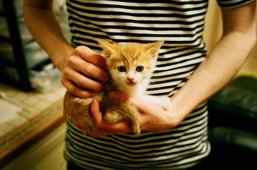 波黑迎击比利时，欧洲国家联赛擂台即将开打，波黑足球比赛