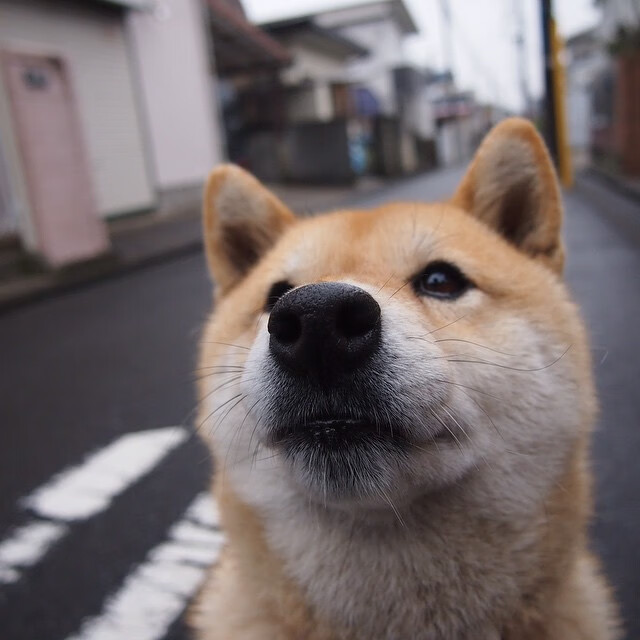 瓦拉多利德客场失利,遗憾错失胜机,瓦拉多利德队