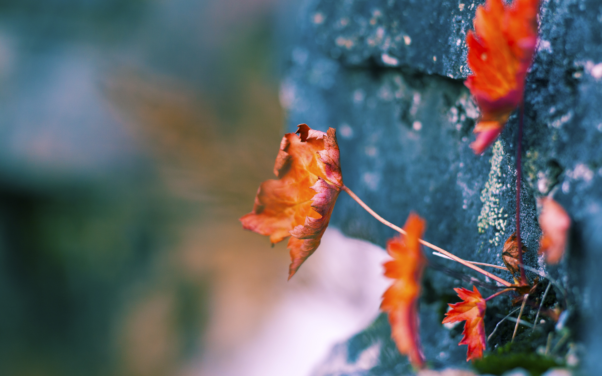 九游下载中心-队伍实力强弱对比，比赛场面扣人心弦，队伍战力是什么意思
