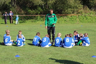 九游网页版官网入口-德甲球队构建战术模拟平台提升临场应变能力，德甲模式