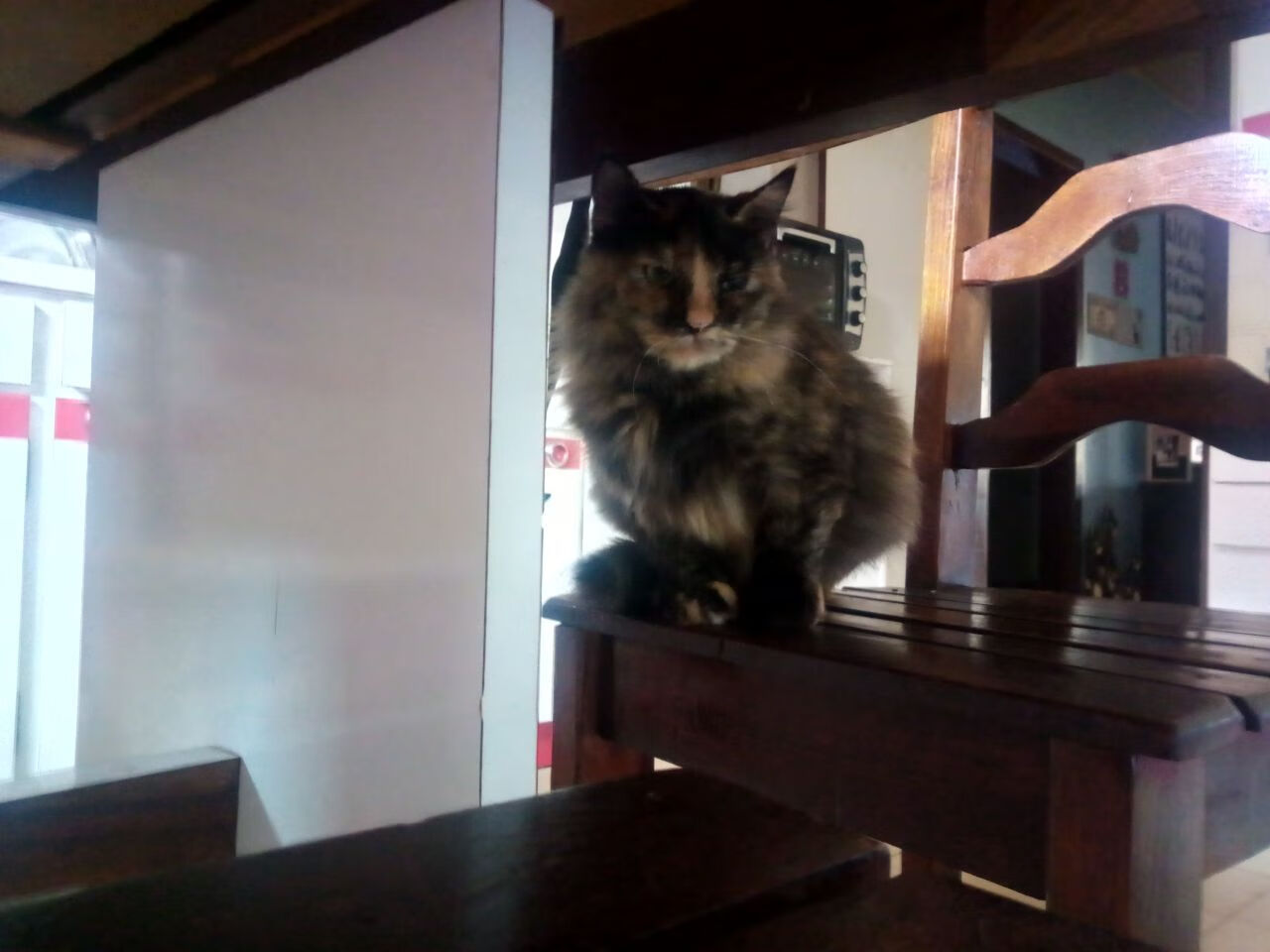 九游下载官网-新闻中心开展知识产权保护，知识产权活动新闻稿