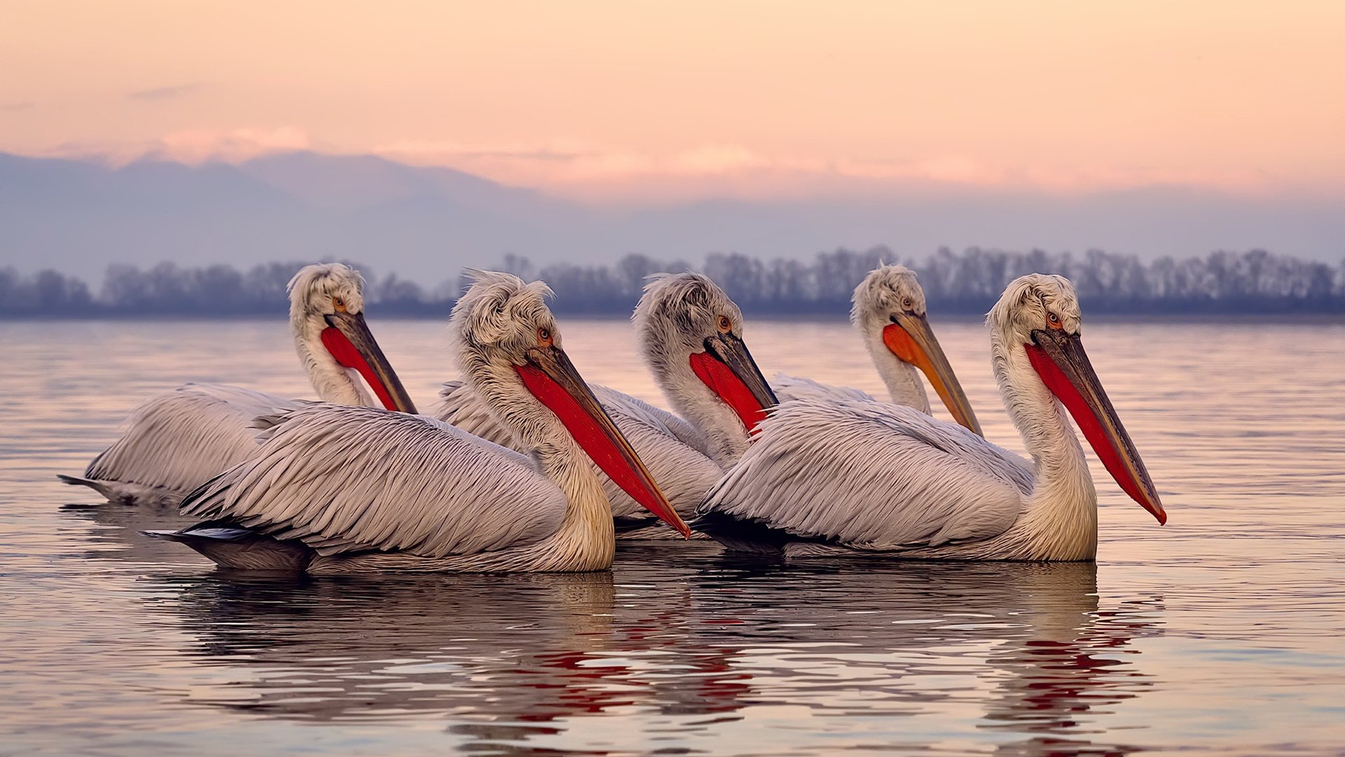 全运会项目调整 引入更多青年参与项目,全运会青年组