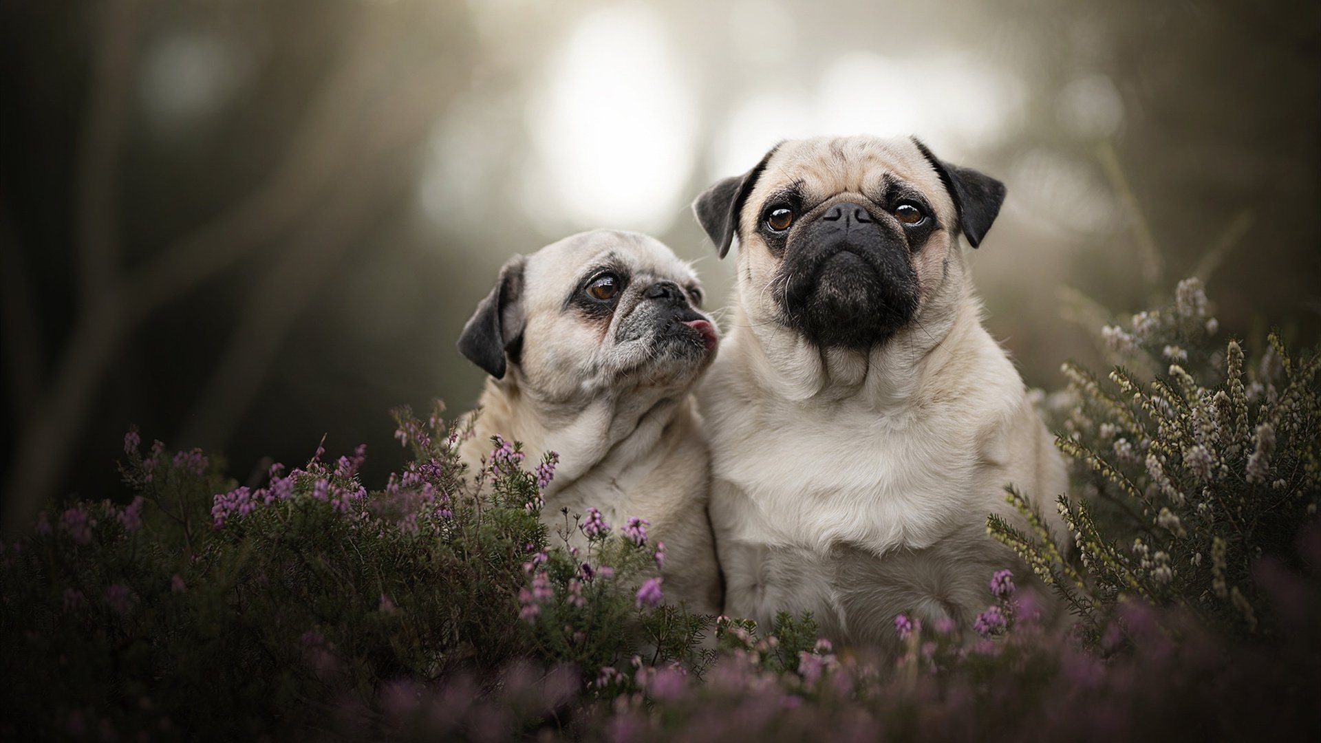 九游app下载中心-职业联赛技术统计体系未完全统一