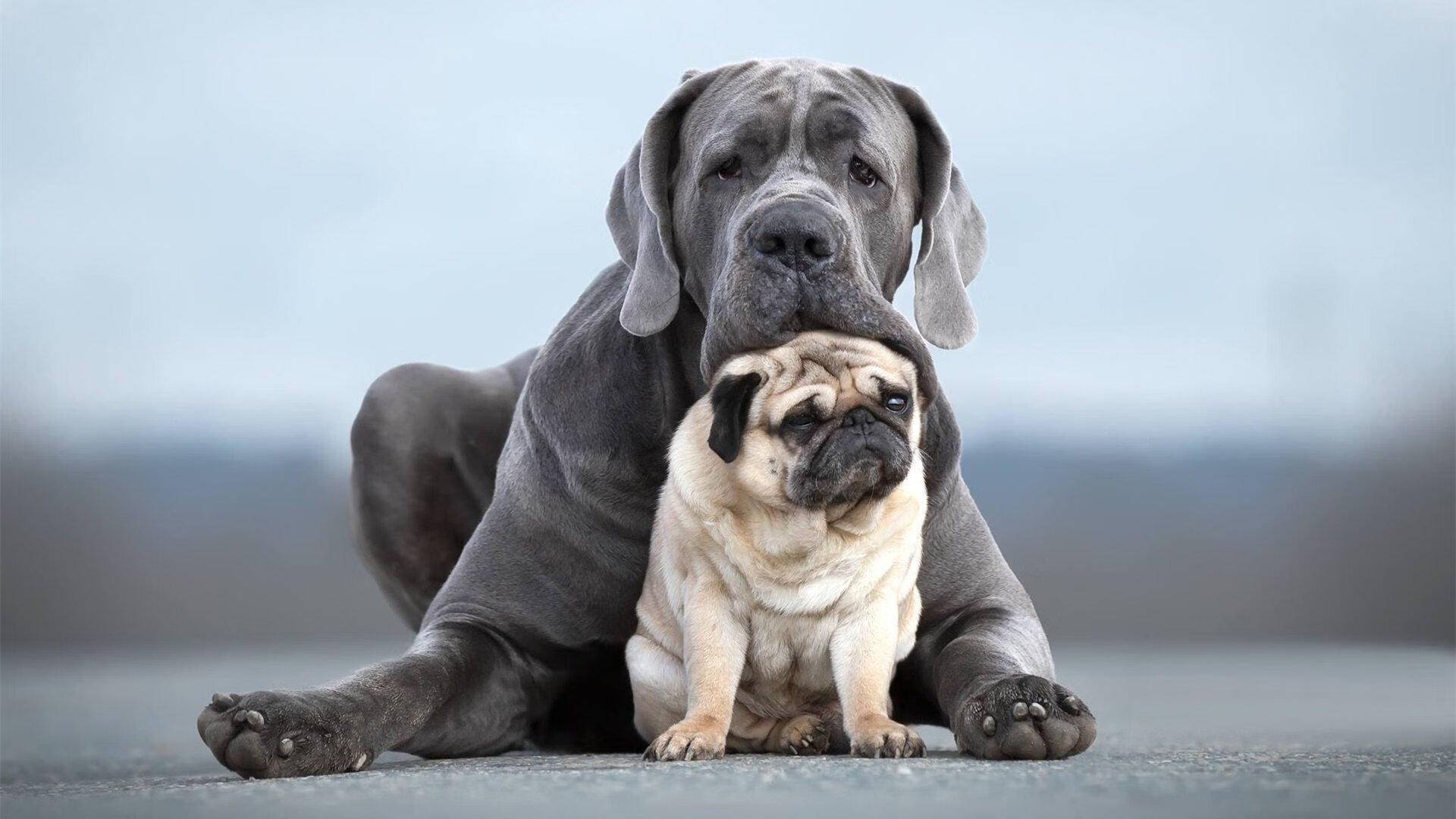 瑞·弗兰：在场上，他的跑位和防守意识为全黑队创造了无数机会